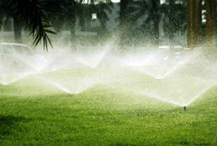 Lawn sprinklers running after a successful sprinkler repair in Delray Beach, FL